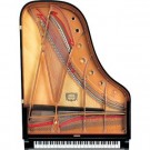 Yamaha, mod. C6x - 212 cm thumbnail