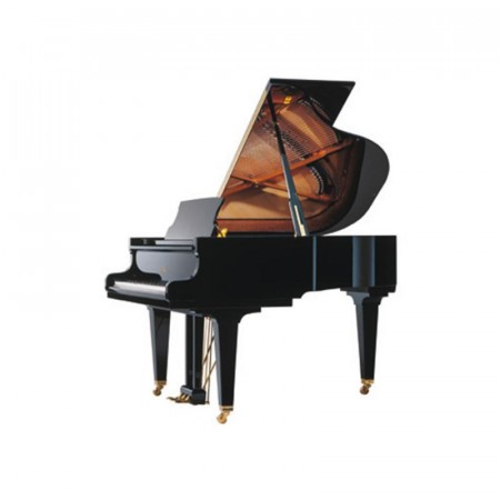 Schimmel