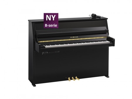 Yamaha mod. B10 TC3 PE. Med Trans Acoustic System 