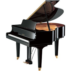 Yamaha GB1