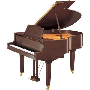 Yamaha, mod. GC1 SAW, satinert nøttetre