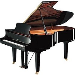 Yamaha, mod. C6x PE, sort polert